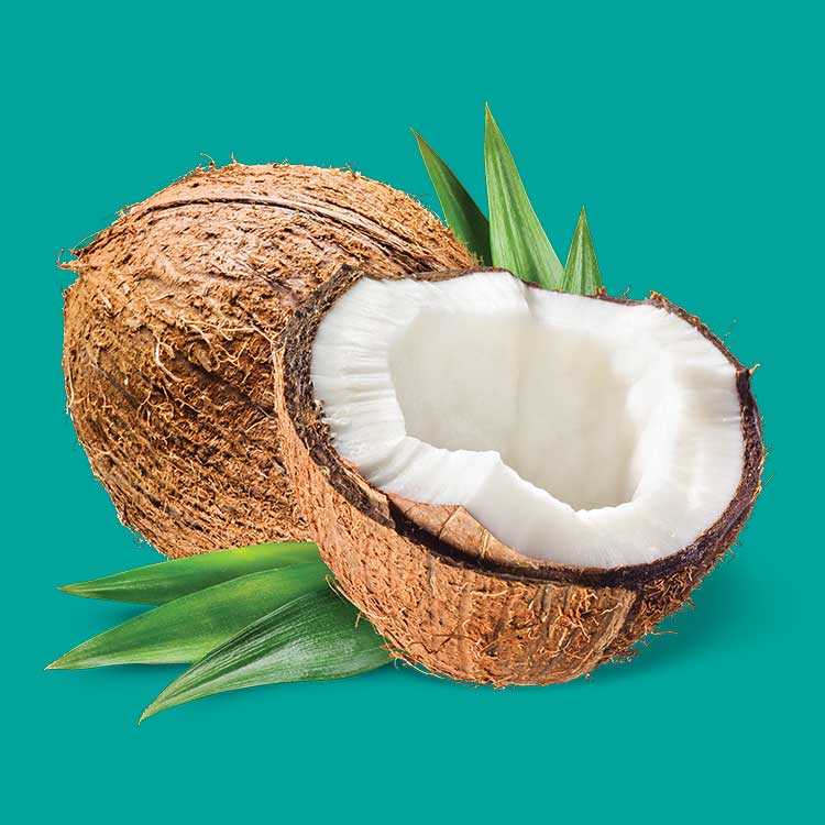 image of Coconut & Honeydew